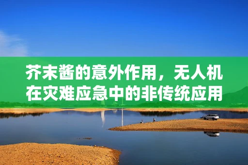 芥末酱的意外作用，无人机在灾难应急中的非传统应用？