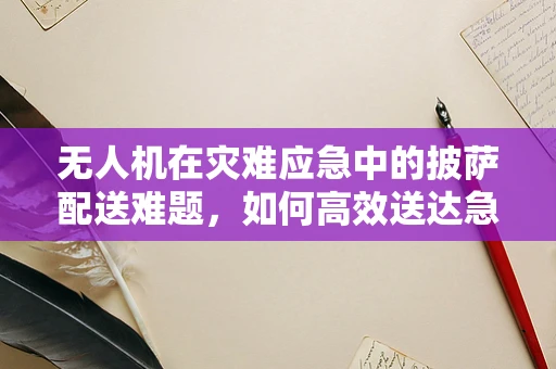 无人机在灾难应急中的披萨配送难题，如何高效送达急需物资？