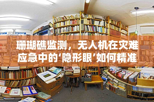 珊瑚礁监测，无人机在灾难应急中的‘隐形眼’如何精准识别？