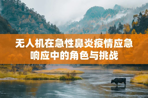 无人机在急性鼻炎疫情应急响应中的角色与挑战