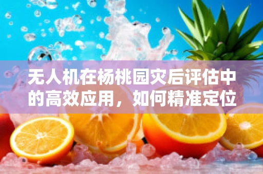 无人机在杨桃园灾后评估中的高效应用，如何精准定位受损区域？