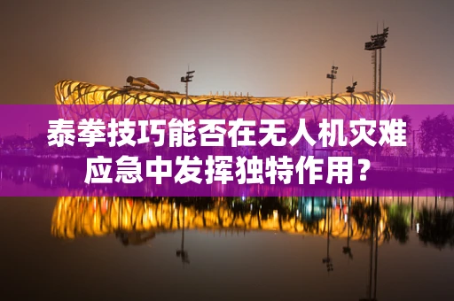 泰拳技巧能否在无人机灾难应急中发挥独特作用？