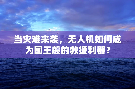 当灾难来袭，无人机如何成为国王般的救援利器？