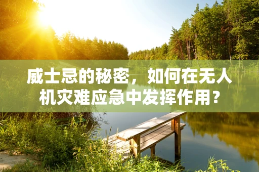 威士忌的秘密，如何在无人机灾难应急中发挥作用？