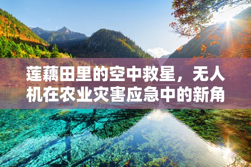 莲藕田里的空中救星，无人机在农业灾害应急中的新角色？
