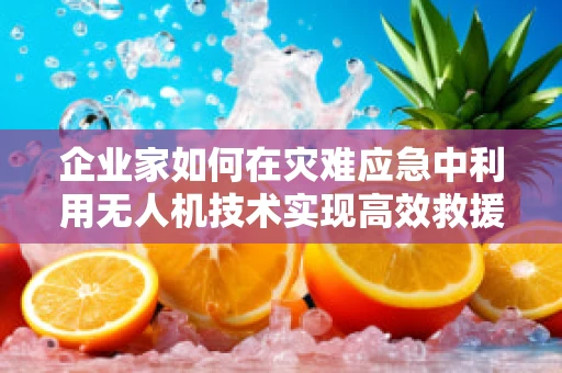 企业家如何在灾难应急中利用无人机技术实现高效救援？