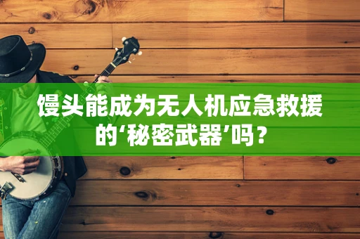 馒头能成为无人机应急救援的‘秘密武器’吗？