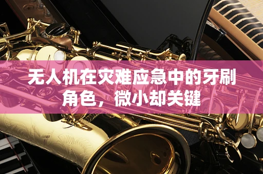 无人机在灾难应急中的牙刷角色，微小却关键