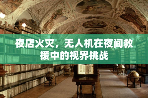夜店火灾，无人机在夜间救援中的视界挑战