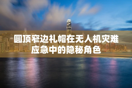 圆顶窄边礼帽在无人机灾难应急中的隐秘角色