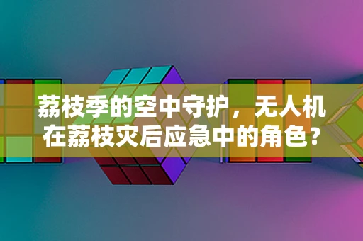 荔枝季的空中守护，无人机在荔枝灾后应急中的角色？