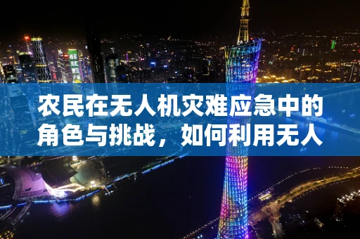 农民在无人机灾难应急中的角色与挑战，如何利用无人机技术保障粮食安全？