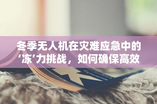 冬季无人机在灾难应急中的‘冻’力挑战，如何确保高效作业？