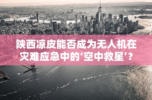 陕西凉皮能否成为无人机在灾难应急中的‘空中救星’？