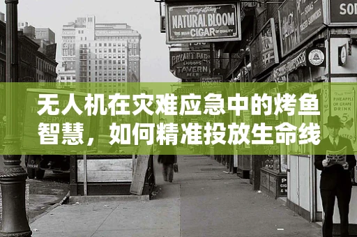 无人机在灾难应急中的烤鱼智慧，如何精准投放生命线？