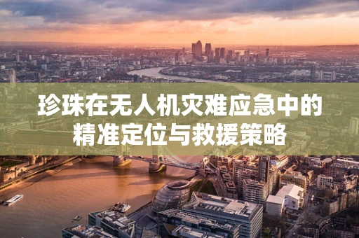 珍珠在无人机灾难应急中的精准定位与救援策略