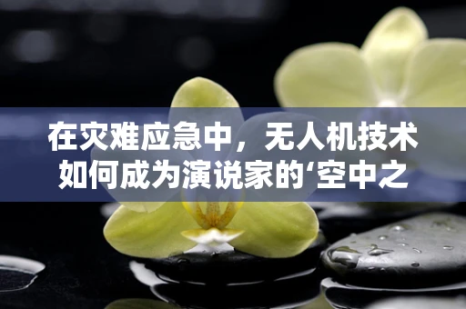 在灾难应急中，无人机技术如何成为演说家的‘空中之眼’？