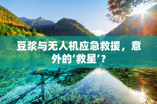 豆浆与无人机应急救援，意外的‘救星’？