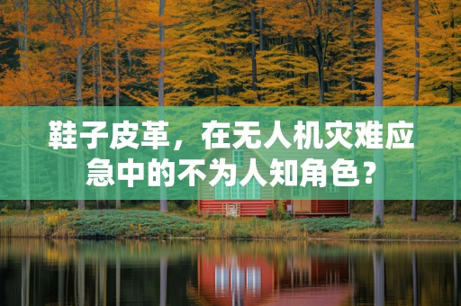 鞋子皮革，在无人机灾难应急中的不为人知角色？