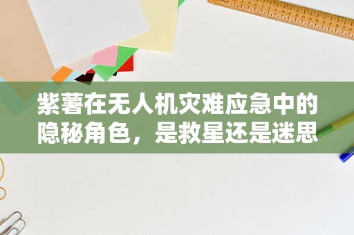 紫薯在无人机灾难应急中的隐秘角色，是救星还是迷思？
