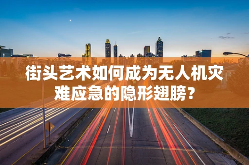 街头艺术如何成为无人机灾难应急的隐形翅膀？