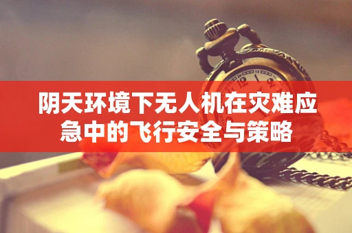 阴天环境下无人机在灾难应急中的飞行安全与策略
