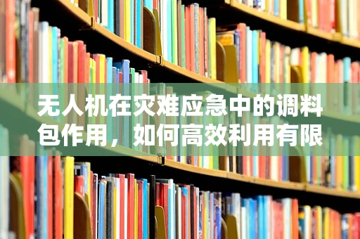 无人机在灾难应急中的调料包作用，如何高效利用有限资源？