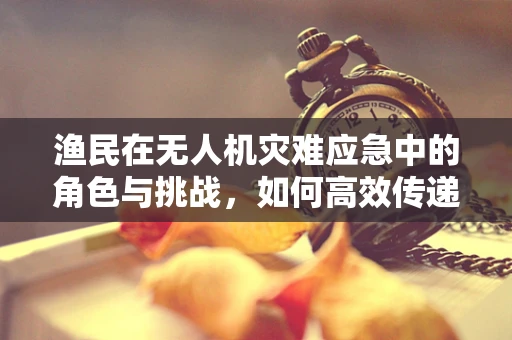 渔民在无人机灾难应急中的角色与挑战，如何高效传递信息？