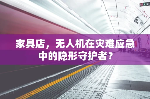 家具店，无人机在灾难应急中的隐形守护者？