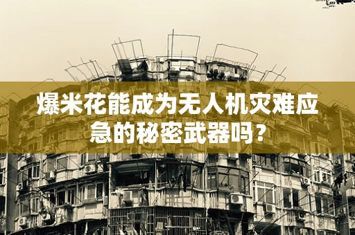 爆米花能成为无人机灾难应急的秘密武器吗？