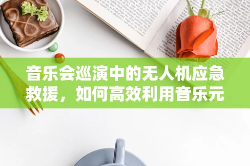 音乐会巡演中的无人机应急救援，如何高效利用音乐元素进行快速定位？