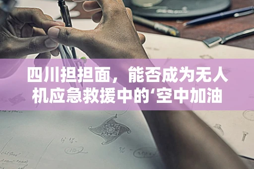 四川担担面，能否成为无人机应急救援中的‘空中加油站’？