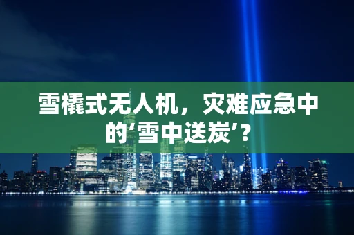 雪橇式无人机，灾难应急中的‘雪中送炭’？