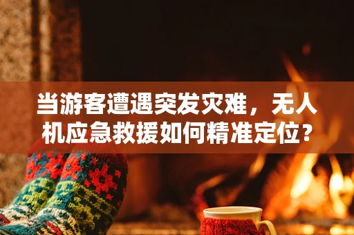 当游客遭遇突发灾难，无人机应急救援如何精准定位？