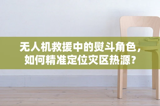 无人机救援中的熨斗角色，如何精准定位灾区热源？