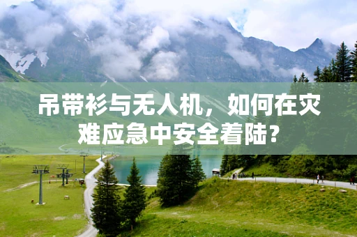 吊带衫与无人机，如何在灾难应急中安全着陆？