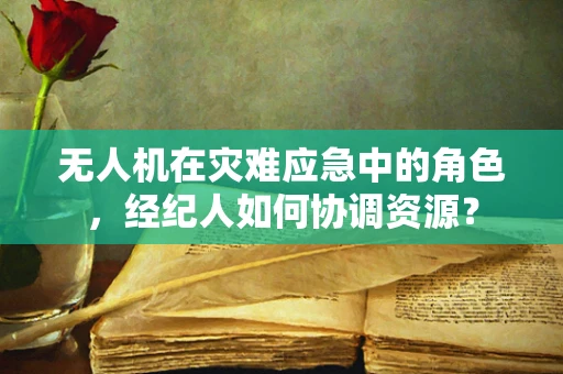 无人机在灾难应急中的角色，经纪人如何协调资源？
