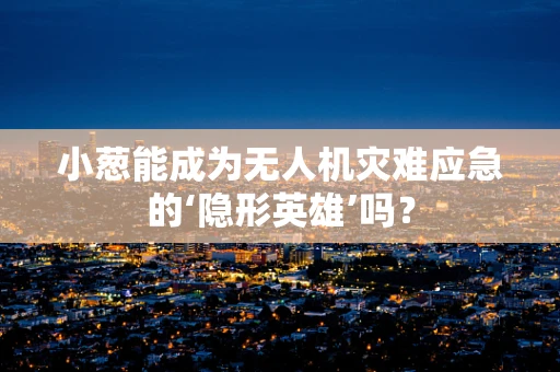 小葱能成为无人机灾难应急的‘隐形英雄’吗？