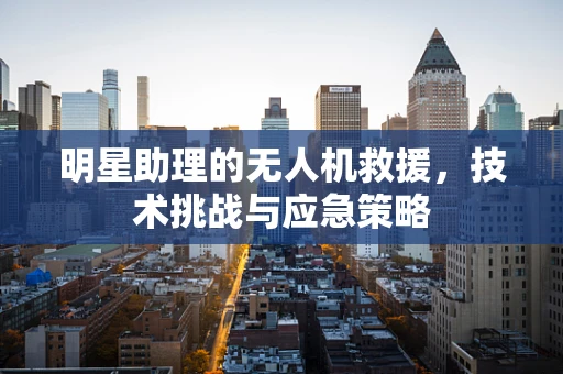 明星助理的无人机救援，技术挑战与应急策略