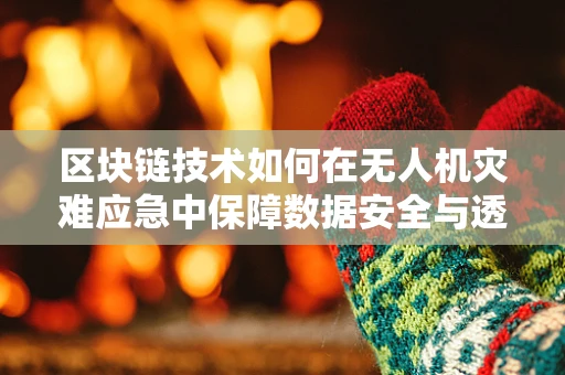 区块链技术如何在无人机灾难应急中保障数据安全与透明？