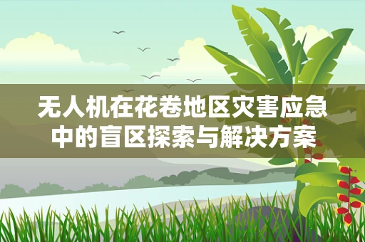 无人机在花卷地区灾害应急中的盲区探索与解决方案