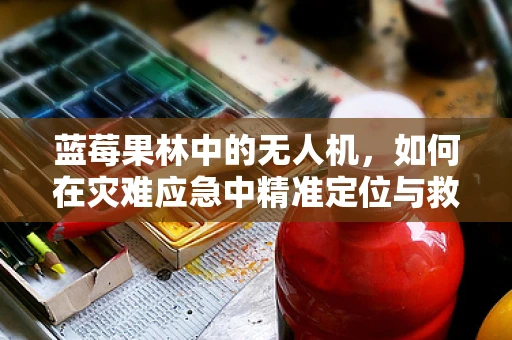 蓝莓果林中的无人机，如何在灾难应急中精准定位与救援？