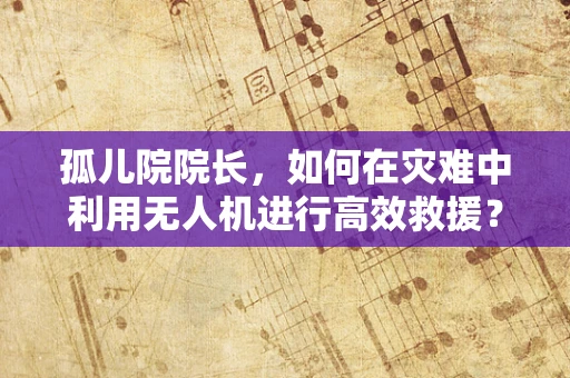 孤儿院院长，如何在灾难中利用无人机进行高效救援？