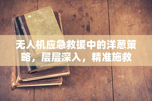 无人机应急救援中的洋葱策略，层层深入，精准施救