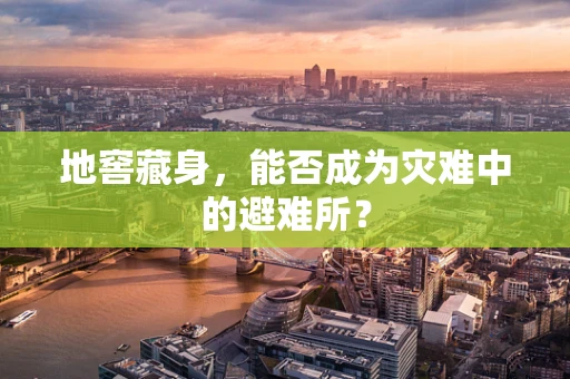 地窖藏身，能否成为灾难中的避难所？