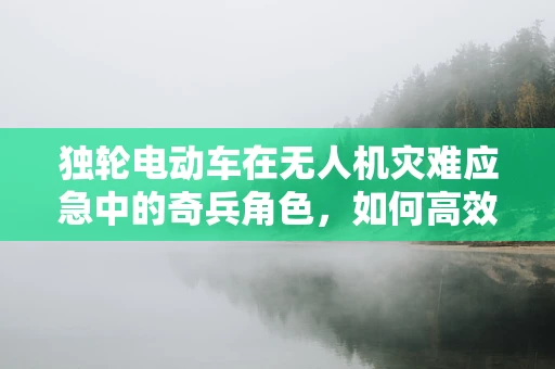 独轮电动车在无人机灾难应急中的奇兵角色，如何高效协同提升救援效率？