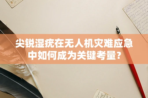 尖锐湿疣在无人机灾难应急中如何成为关键考量？