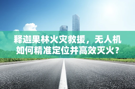 释迦果林火灾救援，无人机如何精准定位并高效灭火？