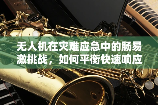 无人机在灾难应急中的肠易激挑战，如何平衡快速响应与患者隐私？