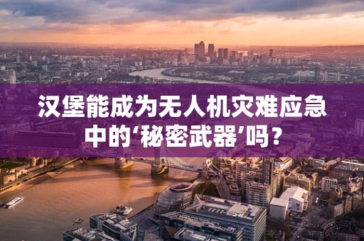 汉堡能成为无人机灾难应急中的‘秘密武器’吗？